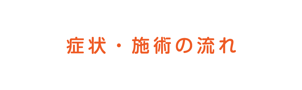 症状・施術の流れ