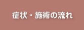 症状・施術の流れ